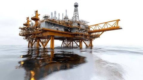 Oil Extraction Equipment Information With Seed Processing, Extraction Methods, and Technology